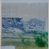 David Freed, Blue Heat, 2008-2009, Woodblock, etching and pastel on paper, 30 x 22 inches