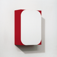 Elegant Trogon, 2007,
flashe on birch plywood,
11 3/8 x 8 x 4 inches