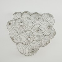 Carlton Newton, Untitled, 2009,
Stainless steel wire,
25 x 29 x 7 1/4 inches