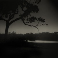 Sally Mann, Weyanoke, Louisiana, 1998/2010,
Gelatin silver print
, 20 x 24 inches, Ed. 10