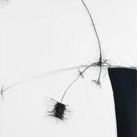 Cindy Neuschwander, Split, 2011, Mixed media on paper, 44 x 30 inches