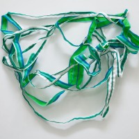 2010_SWIMMER