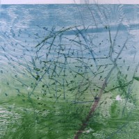Freed. Dance Isabel. 28 x 22 inches