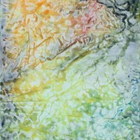 Harrington, 2007, watermedia, oil emulsion, graphite on rag paper under beeswax, 65 1/2 x 39 3/4 inches