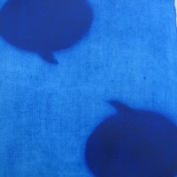 bigelow. talking blue. 2010