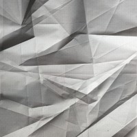 Plot, 2011, archival pigment print, 45 x 40 inches