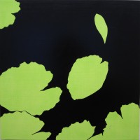 Isabel Bigelow, lilies, 2011, Oil on panel, 15 x 15 inches