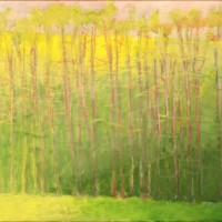 Green to Yellow. email