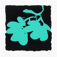 SULTAN_LANTERNS,_MAY_10_(AQUA)
