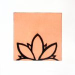 bigelow-dawn-lotus_hr