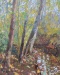 Andras Bality, Fall Willow Oaks Trail, 2017, oil on canvas, 20 x 16 inches