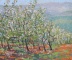 Bality__Carters_Mtn_Apple_Orchard__10_x_12_inches__oil_on_canvas__2017.jpeg