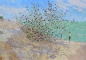 Andras Bality, Sanibel Island Mangrove Tree, 2018, oil on canvas, 46 x 67 inches